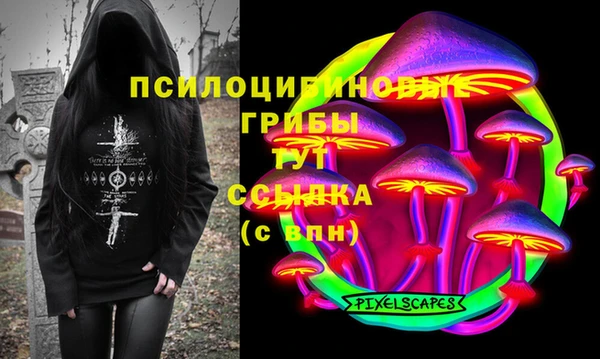 ПСИЛОЦИБИНОВЫЕ ГРИБЫ Володарск